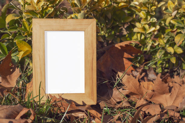 istock Wooden photo frame on dried leaves 1195084302
