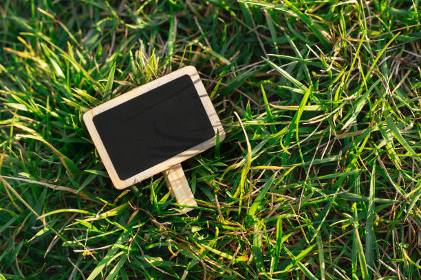 istock Blank wooden blackboard label in grass background 1195084843