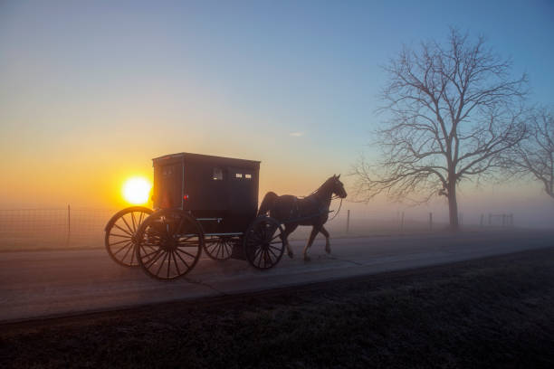 istock Amish Buggy at Dawn on Rural Indiana Road 1195085941
