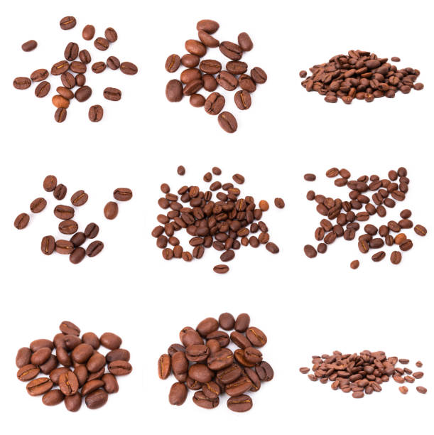 istock set of roasted coffee beans. Isolated on a white background. 1195086351
