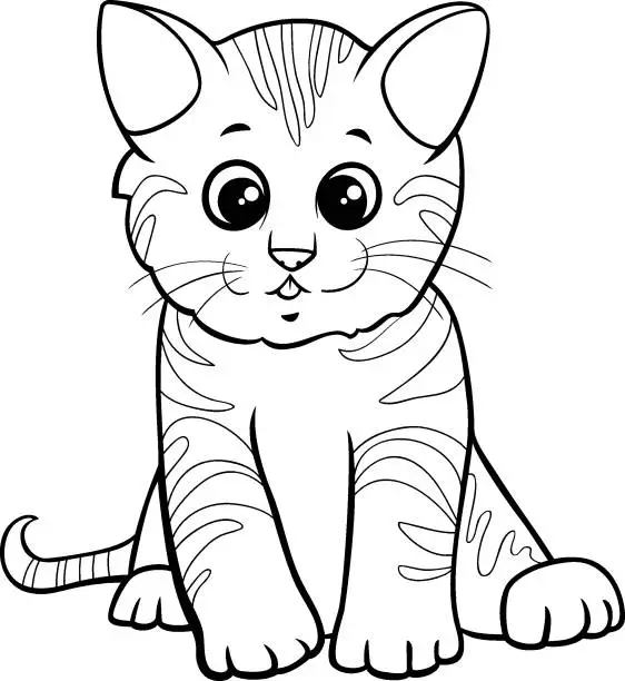 Vector illustration of cute kitten cartoon character coloring book page