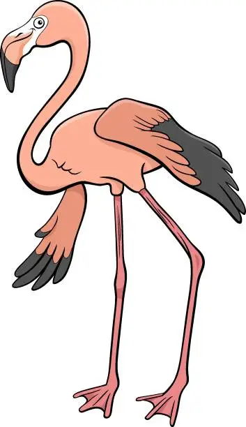 Vector illustration of flamingo bird animal character cartoon illustration
