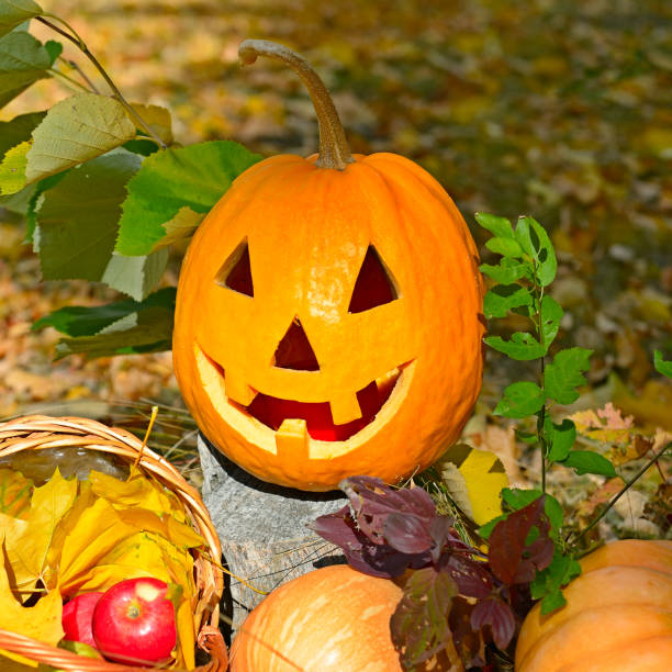 istock Pumpkin-head against a background of a autumn forest. 1195087199