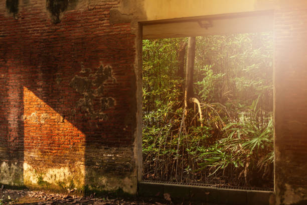 An abandoned interior of ancient fort, view from inside looking out, sunbeam shines through young green forest and ruined window into an old brick wall. Selective focus.