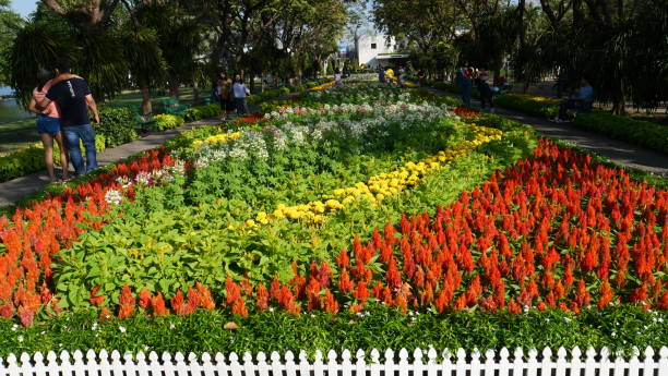 Bangkok, Thailand-December 6, 2019: people in the flower festival in public park in Bangkok.