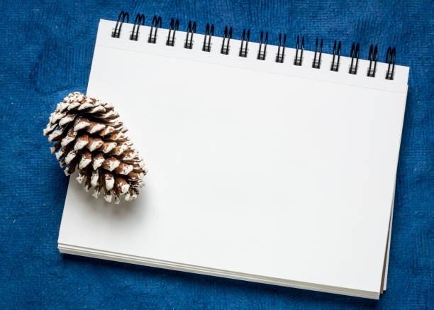 istock blank art sketchbook with decorative frosty pine cone 1195099560
