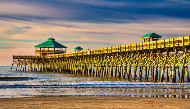 istock Morning at the Pier 1195101626