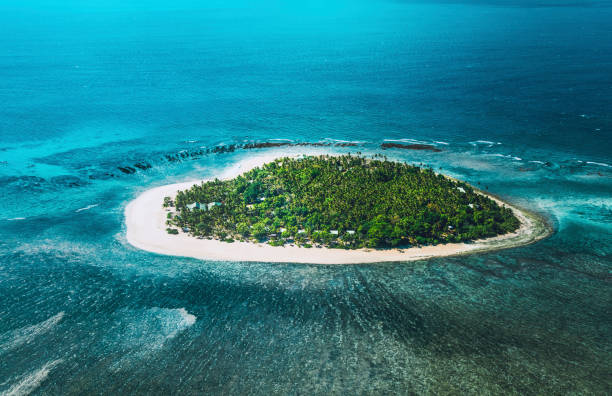 isola tropicale - tree single object remote landscape foto e immagini stock