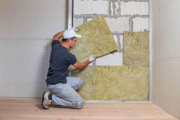 istock Worker insulating a room wall with mineral rock wool thermal insulation. 1195104792