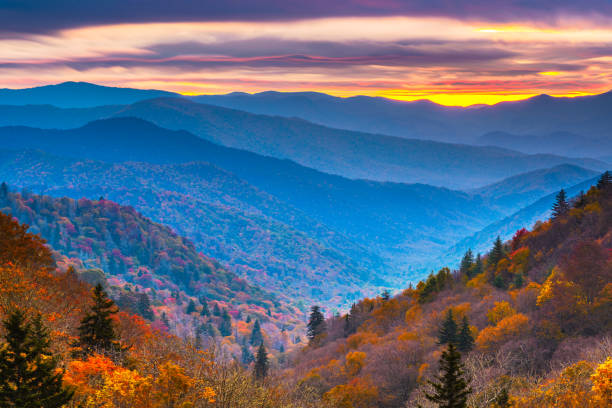 스모키 마운틴 국립공원, 테네시, 미국 가을 풍경 - gatlinburg great smoky mountains national park north america tennessee 뉴스 사진 이미지