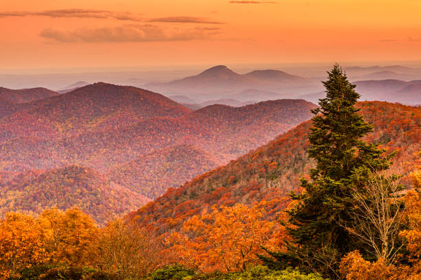 brasstown bald, georgia, usa view of blue ridge mountains in autumn - blue ridge mountains appalachian mountains sunrise mountain imagens e fotografias de stock