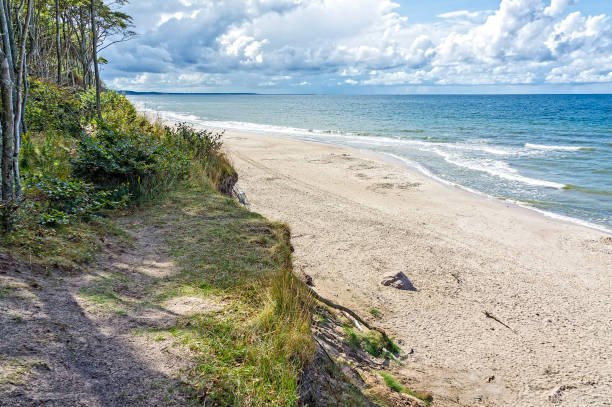 istock Beautiful cliff coast on the Baltic Sea with sandy beach 1195107795