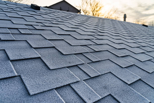 istock Winter frost on the asphalt roofing shingles. 1195109123