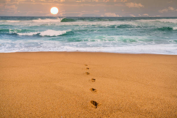 istock sandy beach and foot marks leading to water during sunset 1195110276