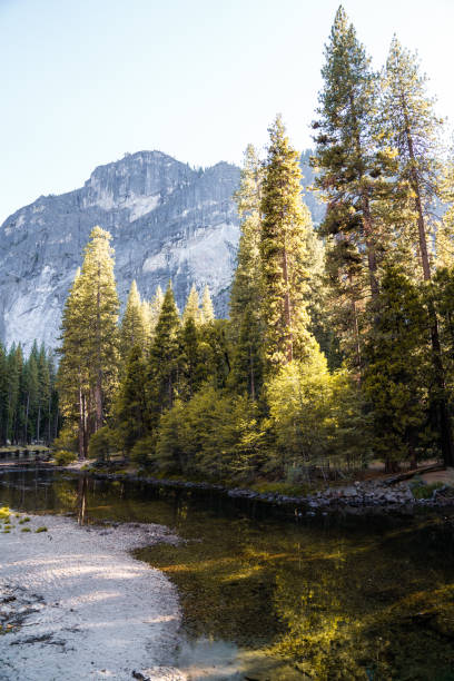 istock Valley Floor River, Yosemite National Park 1195112372