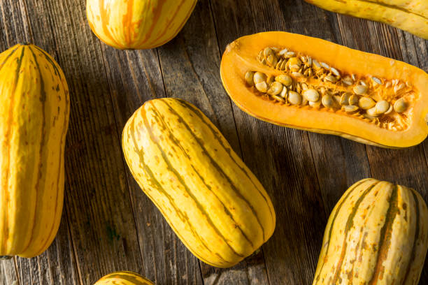 istock Raw yellow Organic Delicata Squash 1195112542