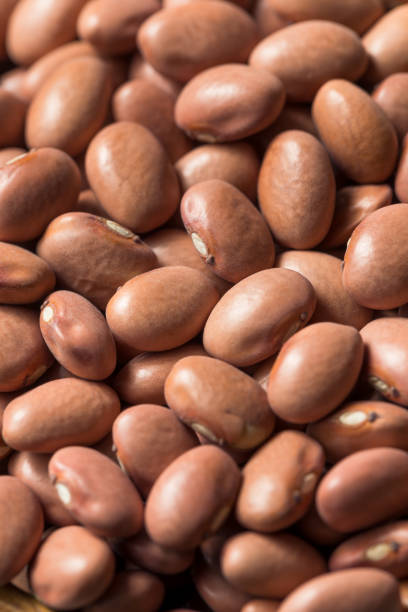istock Raw Organic Dry Pink Beans 1195112617