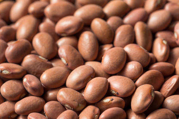 istock Raw Organic Dry Pink Beans 1195113397