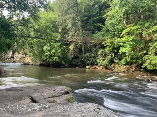 istock Swing bridge and rapids in Tennessee 1195113499
