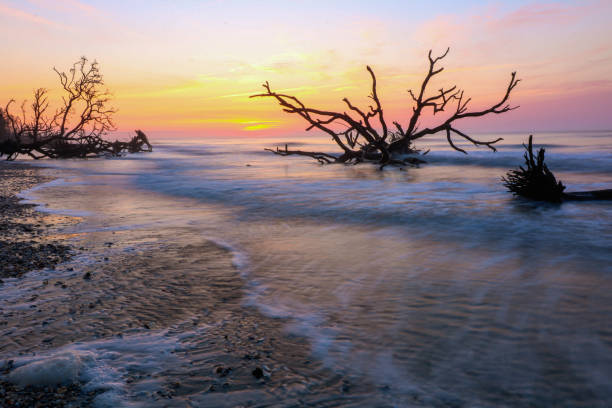 istock Sunrise on boneyard Beach 1195113504