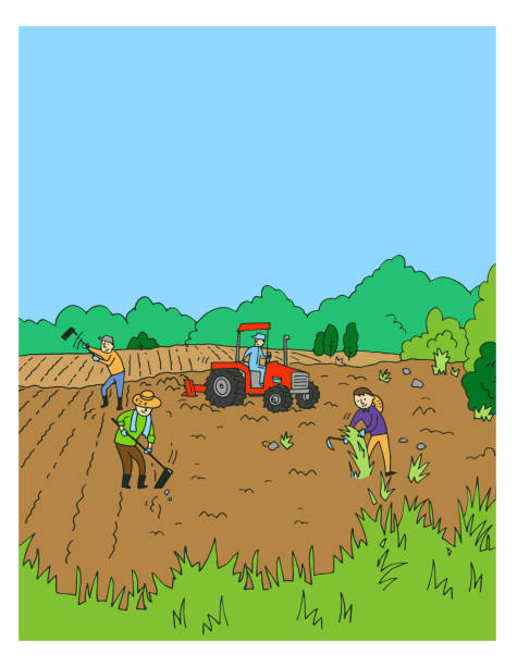 illustrations, cliparts, dessins animés et icônes de les fermiers labourant les friches pour faire des champs - plowed field field fruit vegetable