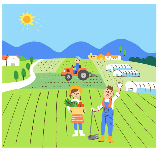 Nông Dân Làm Việc Trên Đồng Ruộng Hình minh họa Sẵn có - Tải xuống Hình ảnh  Ngay bây giờ - Nông nghiệp, Ruộng lúa - Cánh đồng nông nghiệp, Hình minh  họa - iStock