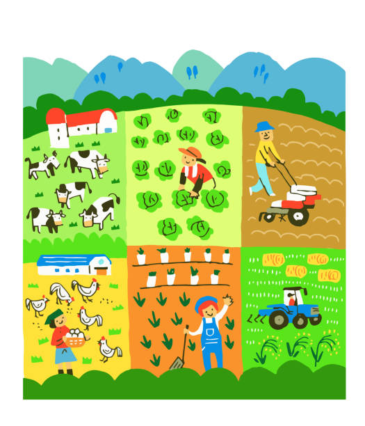 illustrations, cliparts, dessins animés et icônes de divers types d'agriculture tels que l'élevage de volailles, l'élevage, la culture du riz - plowed field field fruit vegetable