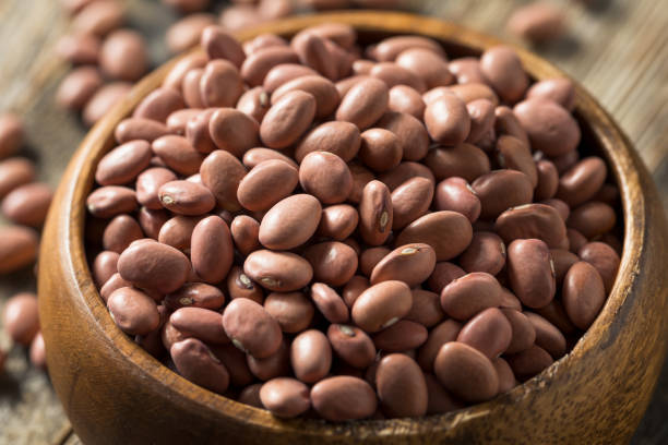 istock Raw Organic Dry Pink Beans 1195113620