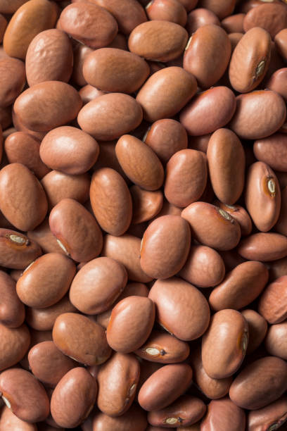 istock Raw Organic Dry Pink Beans 1195113753