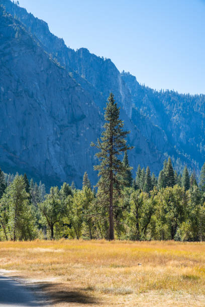 istock Yosemite National Park - Valley Floor 1195114379