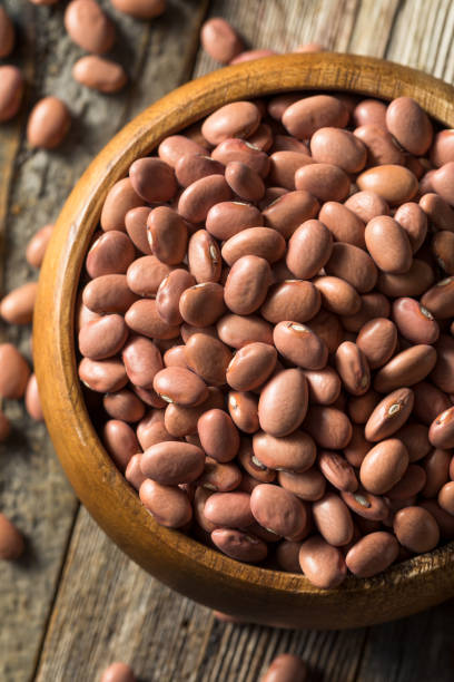 istock Raw Organic Dry Pink Beans 1195114390