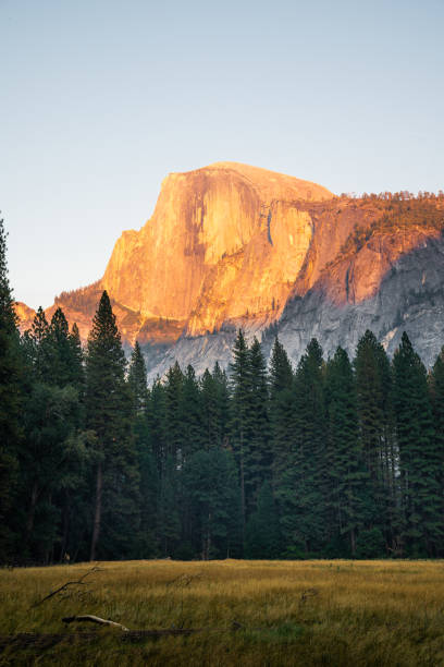 istock Sunset in Yosemite National Park 1195116325