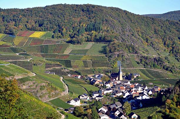 istock Vineyard village in autumn 119511751