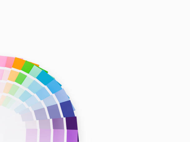 istock Rainbow color pallette on white background. Designer tool with copy space. 1195117858