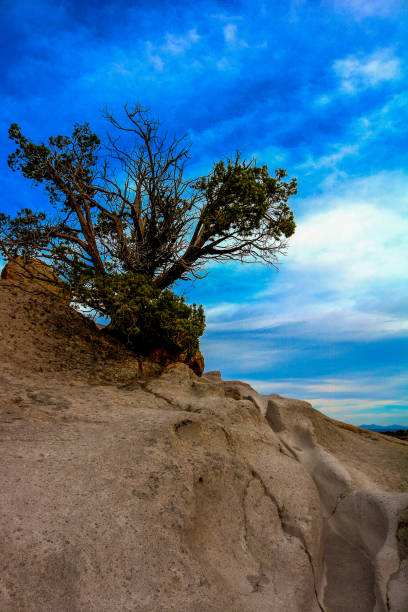 istock View from Tsankawi ruins in New Mexico 1195120118