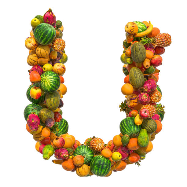 Letter U, fruit font. 3D rendering isolated on  white background