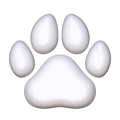 White paw 3D render illustration isolated on white background