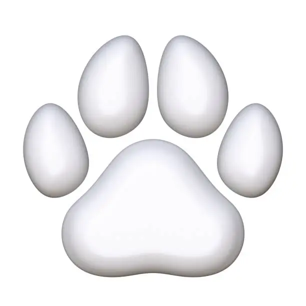 Photo of White paw 3D
