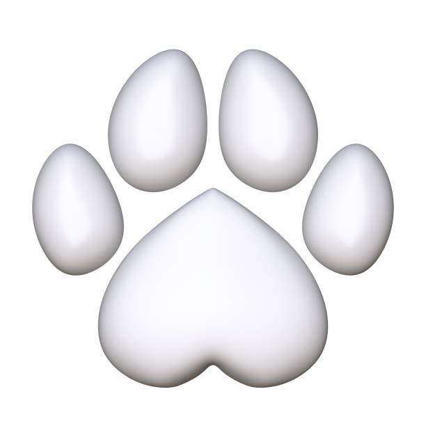 istock White paw in shape of heart 3D 1195123545