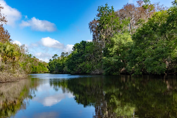 istock Babcock Ranch, Florida - 2019 1195124669