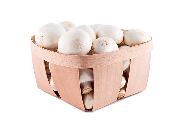 istock Mushrooms in box isolated on white background. 119512691