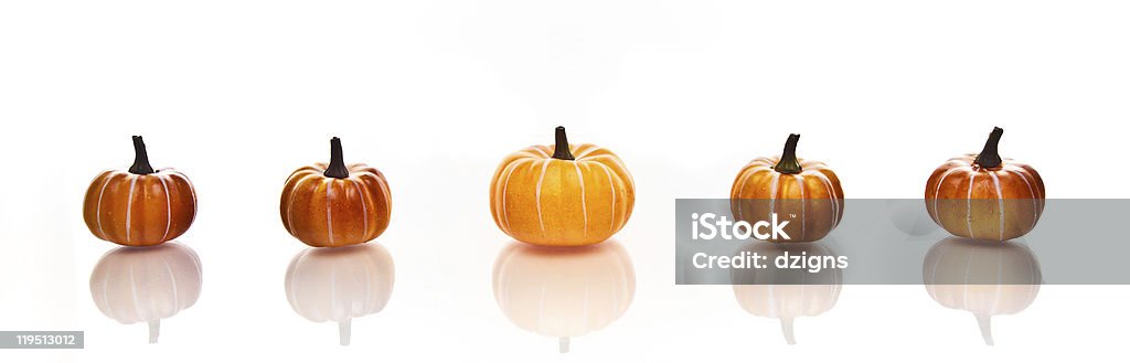 Pumpkins in fila su sfondo bianco - Foto stock royalty-free di Dorato - Colore descrittivo