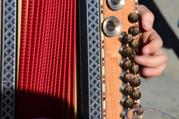 Bellows of playing the accordion. Details of a vintage musical instrument. Vertical view