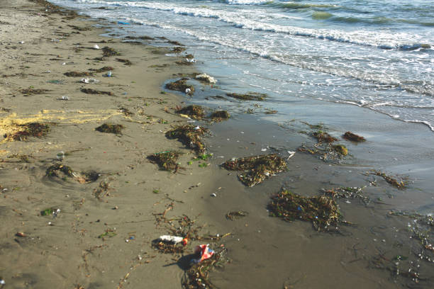 istock Garbage on tropical beach. Old tire and construction debris on seashore sand. Tropical island environment pollution. Trash thrown by seaside. Tropical beach tourism industry impact. Ecological problem. 1195133815