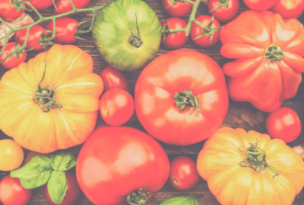 istock Variety of large heirloom tomatoes 1195133839