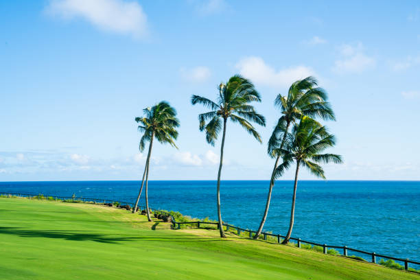 istock Lihue Golfing, Kauai, Hawaii 1195136557