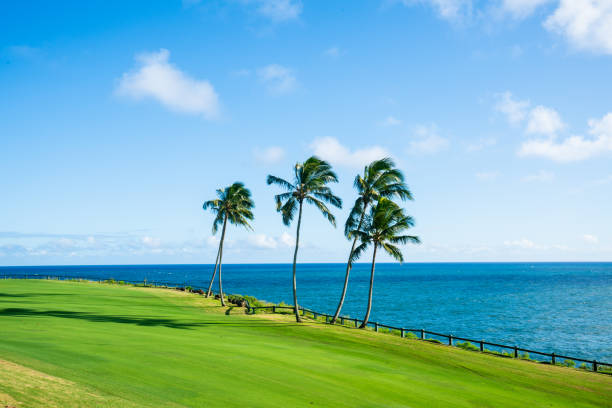 istock Lihue Golfing, Kauai, Hawaii 1195136579