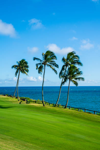 istock Lihue Golfing, Kauai, Hawaii 1195136710