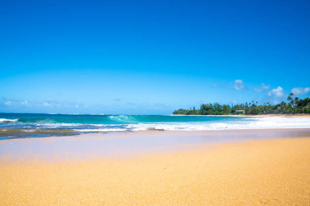 istock Haena State Park, Kauai, Hawaii 1195138646