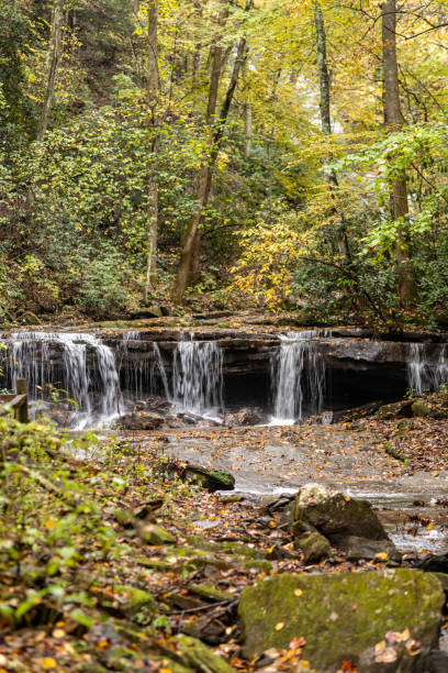 vue cascade de pearsons falls - rapid appalachian mountains autumn water photos et images de collection